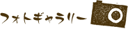 フォトギャラリー